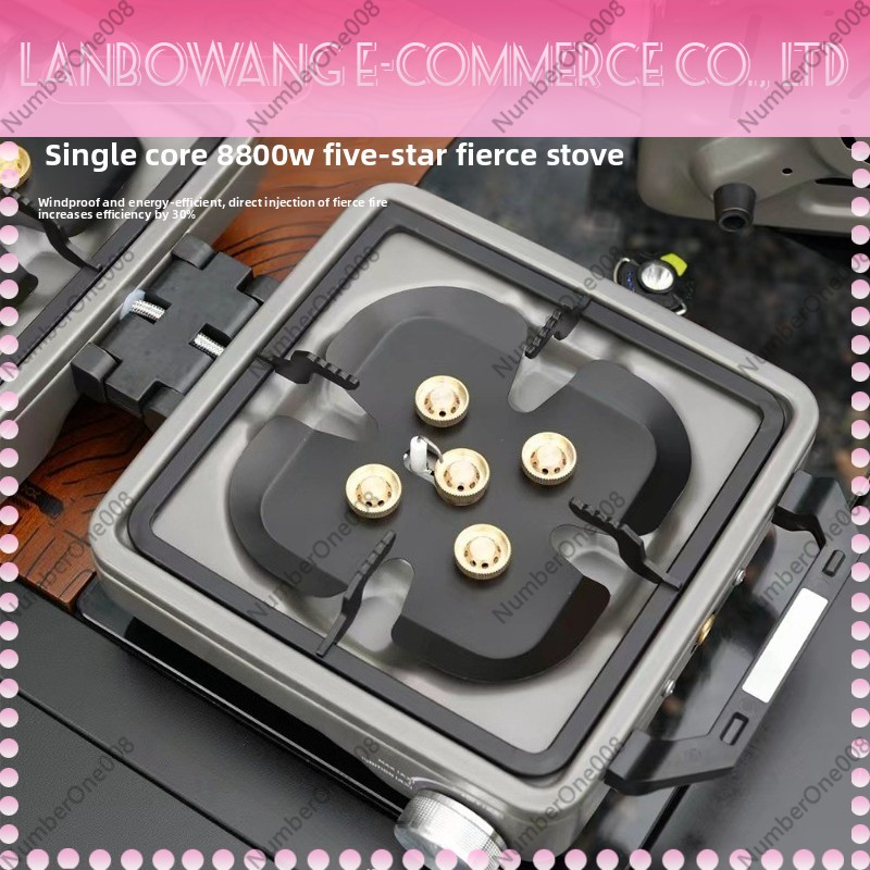 Outdoor Dual Burner High Power - đánh giá và giá Outdoor Camping Gas Stove
